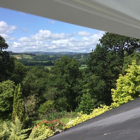 Dwynant - A Room With A View Llangathen Exterior photo