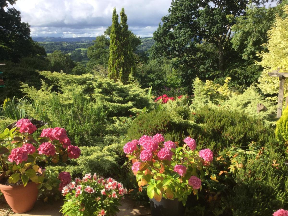 Dwynant - A Room With A View Llangathen Exterior photo