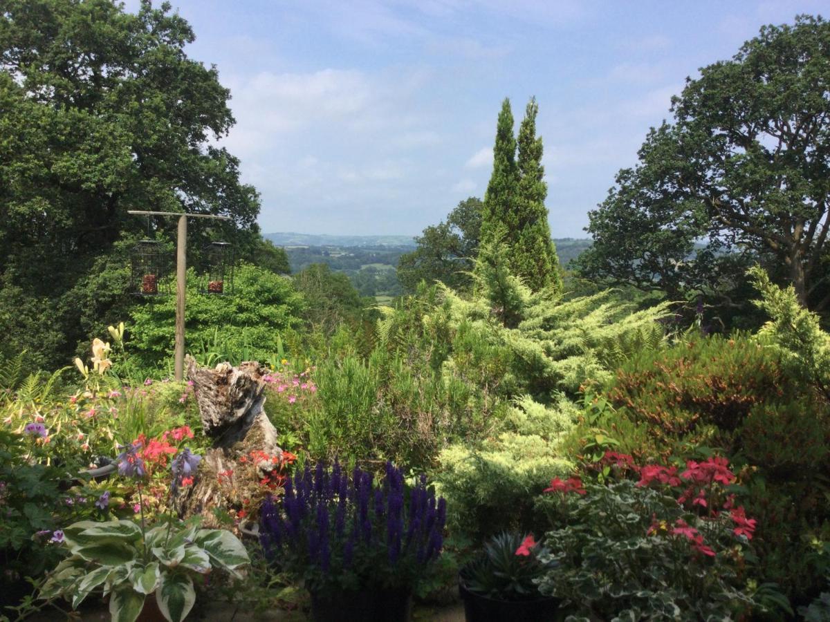 Dwynant - A Room With A View Llangathen Exterior photo